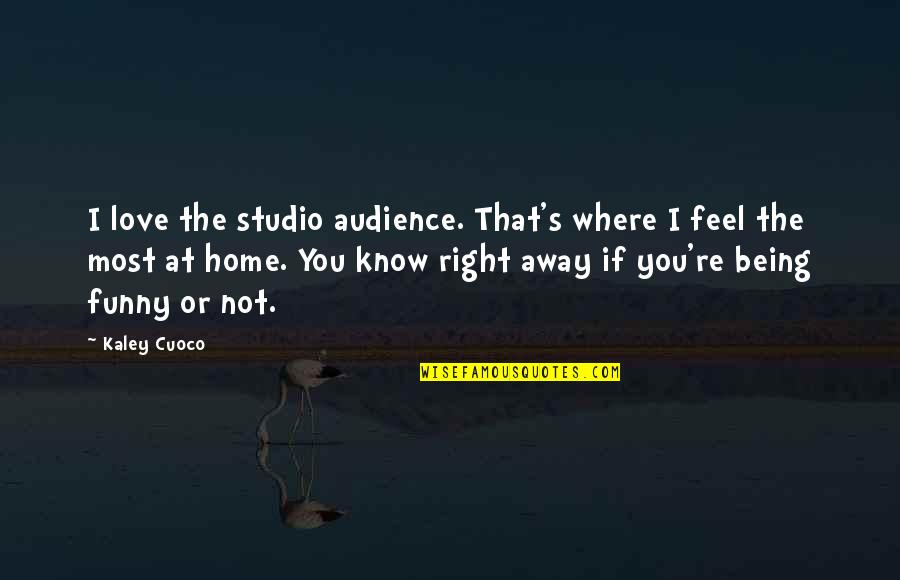Kaley Quotes By Kaley Cuoco: I love the studio audience. That's where I Kaley Quotes By Kaley Cuoco: I love the studio audience. That's where I
