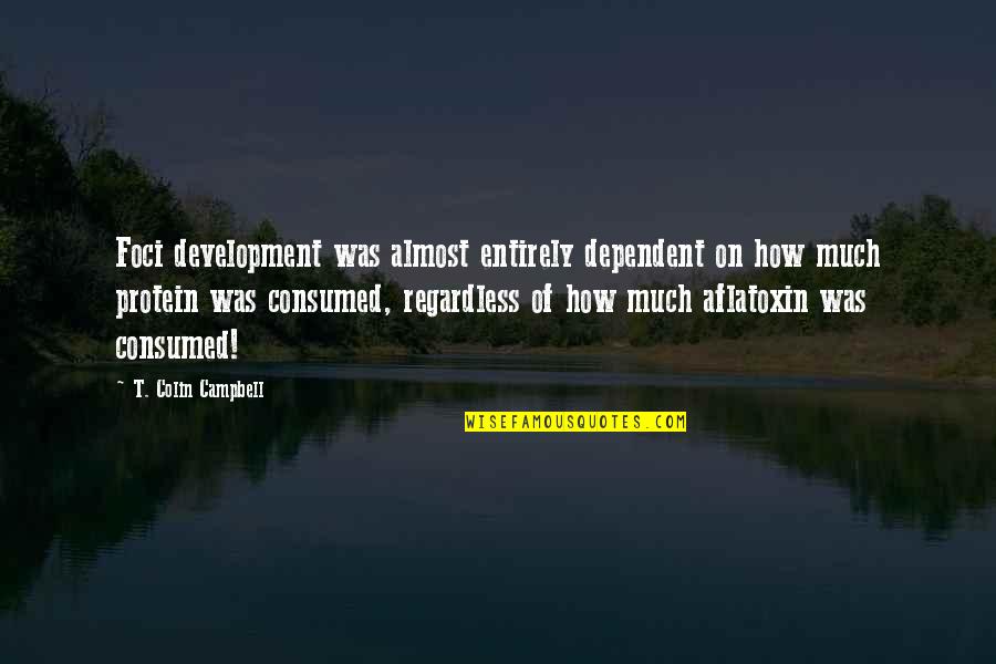 Kali Devi Quotes By T. Colin Campbell: Foci development was almost entirely dependent on how Kali Devi Quotes By T. Colin Campbell: Foci development was almost entirely dependent on how