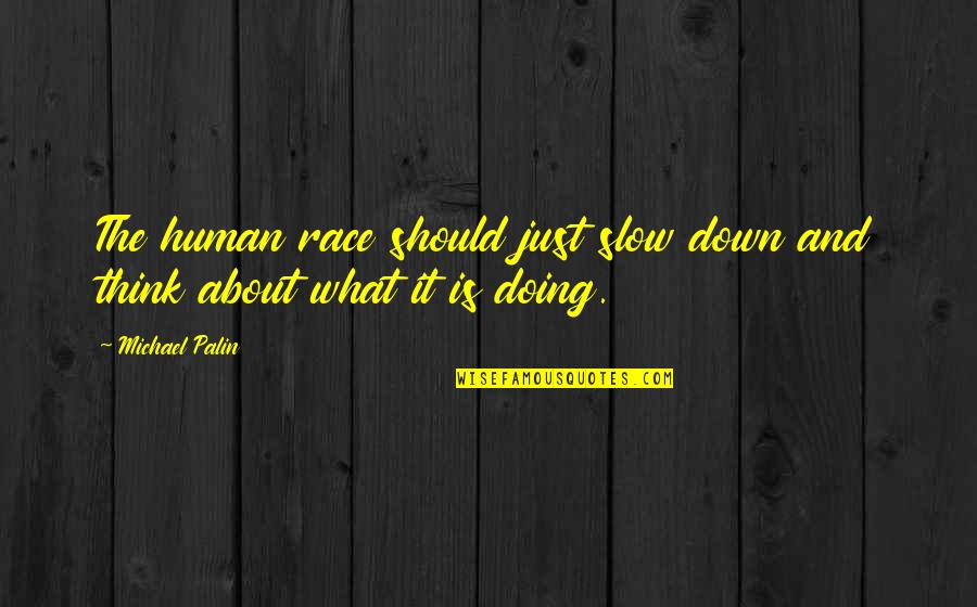 Kalimtari Quotes By Michael Palin: The human race should just slow down and