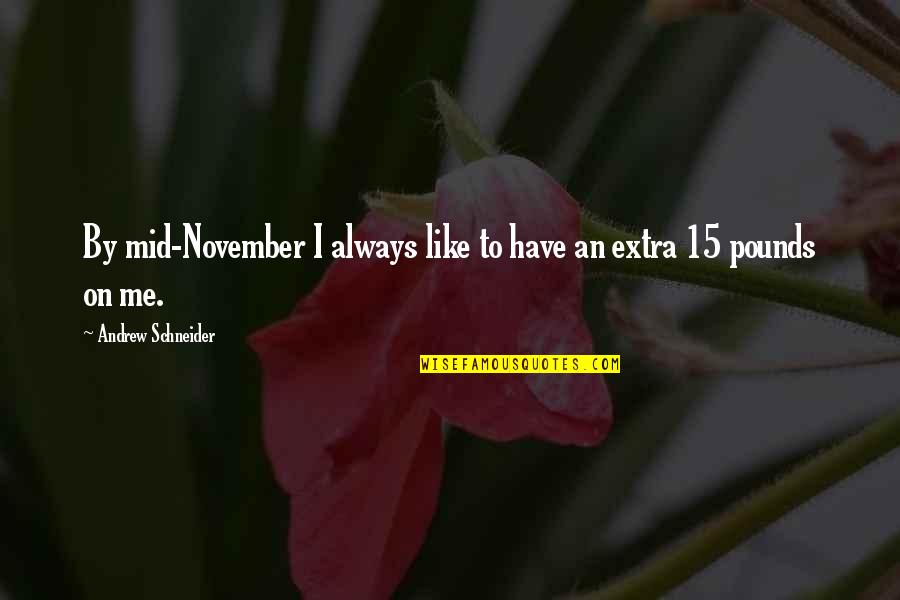 Kalimutan In Other Words Quotes By Andrew Schneider: By mid-November I always like to have an
