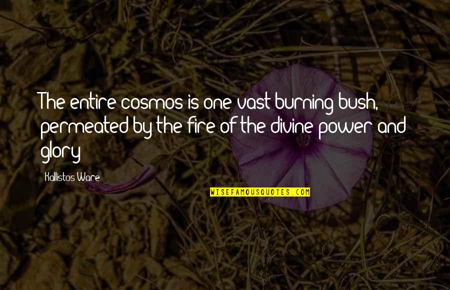 Kallistos Ware Quotes By Kallistos Ware: The entire cosmos is one vast burning bush, Kallistos Ware Quotes By Kallistos Ware: The entire cosmos is one vast burning bush,