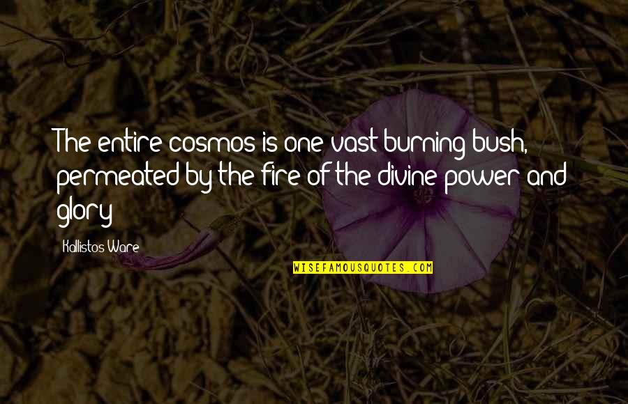 Kallistos Ware Quotes By Kallistos Ware: The entire cosmos is one vast burning bush,