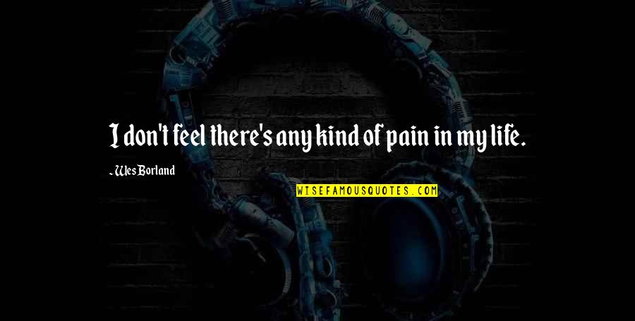 Kalouts Quotes By Wes Borland: I don't feel there's any kind of pain