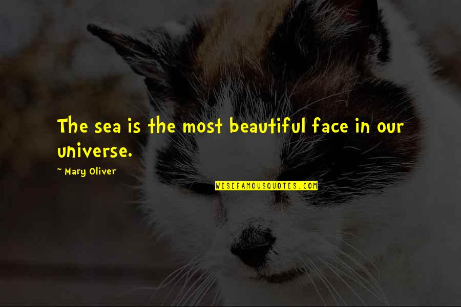 Kalsnick Quotes By Mary Oliver: The sea is the most beautiful face in Kalsnick Quotes By Mary Oliver: The sea is the most beautiful face in