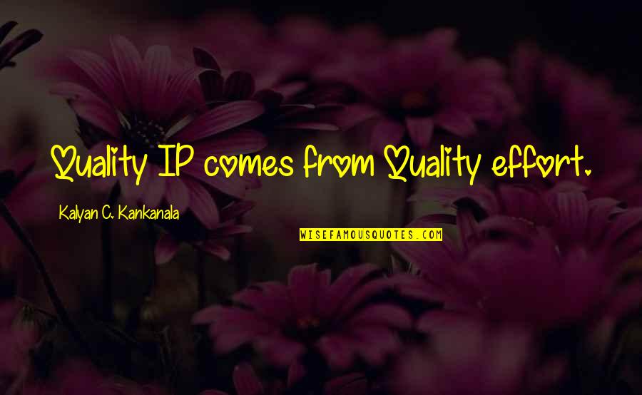 Kalyan Quotes By Kalyan C. Kankanala: Quality IP comes from Quality effort.