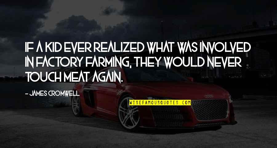 Kamau Bobb Quotes By James Cromwell: If a kid ever realized what was involved Kamau Bobb Quotes By James Cromwell: If a kid ever realized what was involved