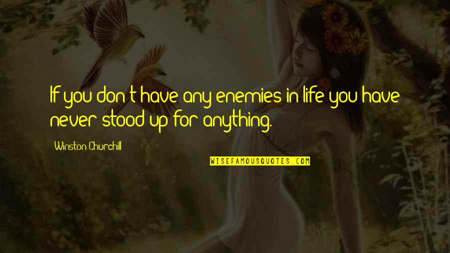 Kambere Nawe Quotes By Winston Churchill: If you don't have any enemies in life Kambere Nawe Quotes By Winston Churchill: If you don't have any enemies in life