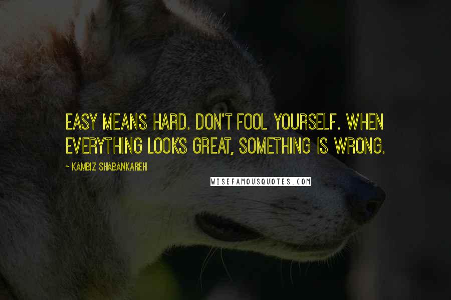 Kambiz Shabankareh quotes: Easy means hard. Don't fool yourself. When everything looks great, something is wrong.
