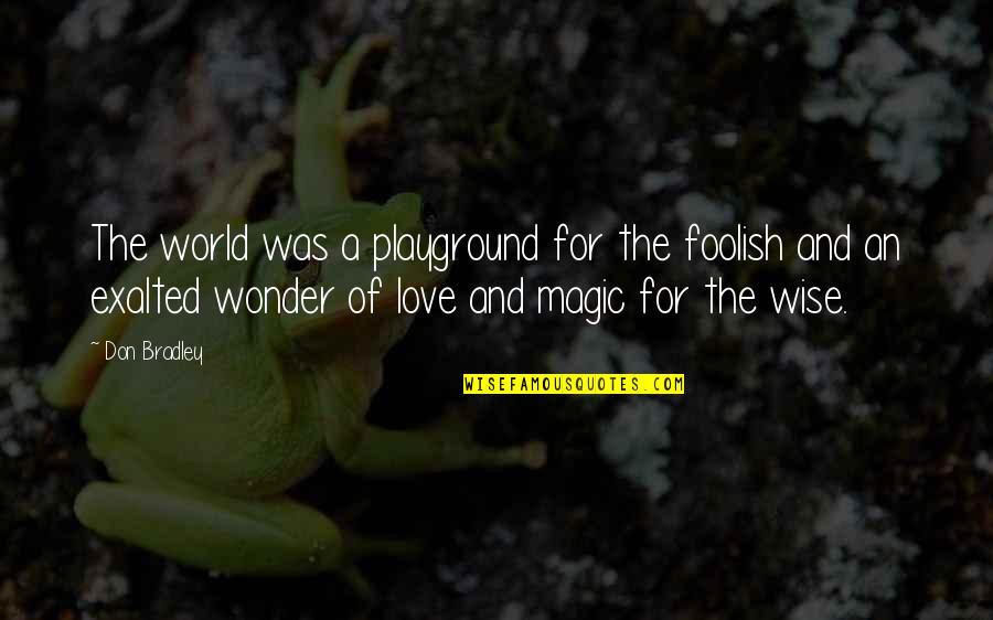 Kamealoha Smith Quotes By Don Bradley: The world was a playground for the foolish Kamealoha Smith Quotes By Don Bradley: The world was a playground for the foolish