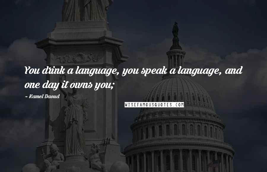 Kamel Daoud quotes: You drink a language, you speak a language, and one day it owns you;