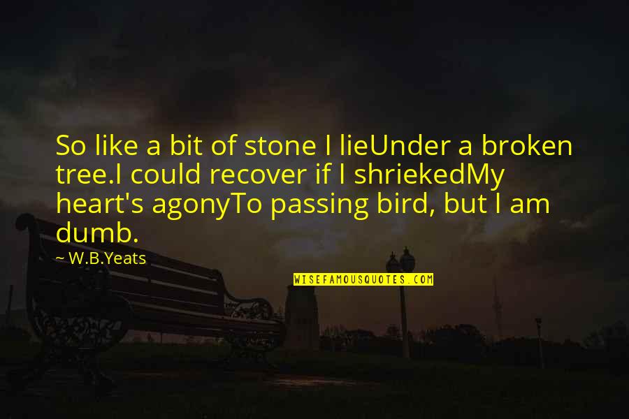 Kamelliableu Quotes By W.B.Yeats: So like a bit of stone I lieUnder Kamelliableu Quotes By W.B.Yeats: So like a bit of stone I lieUnder