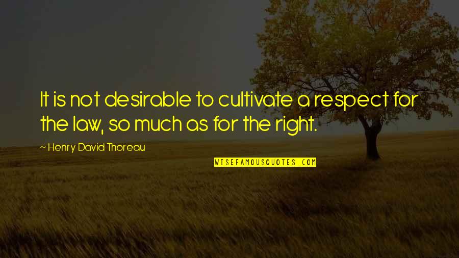 Kaminaga Sensei Quotes By Henry David Thoreau: It is not desirable to cultivate a respect