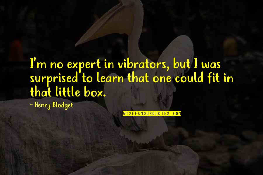 Kamna Jethmalani Quotes By Henry Blodget: I'm no expert in vibrators, but I was Kamna Jethmalani Quotes By Henry Blodget: I'm no expert in vibrators, but I was