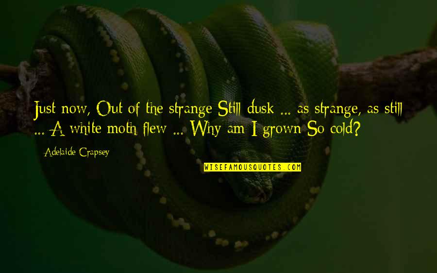 Kampanya Kodu Quotes By Adelaide Crapsey: Just now, Out of the strange Still dusk Kampanya Kodu Quotes By Adelaide Crapsey: Just now, Out of the strange Still dusk