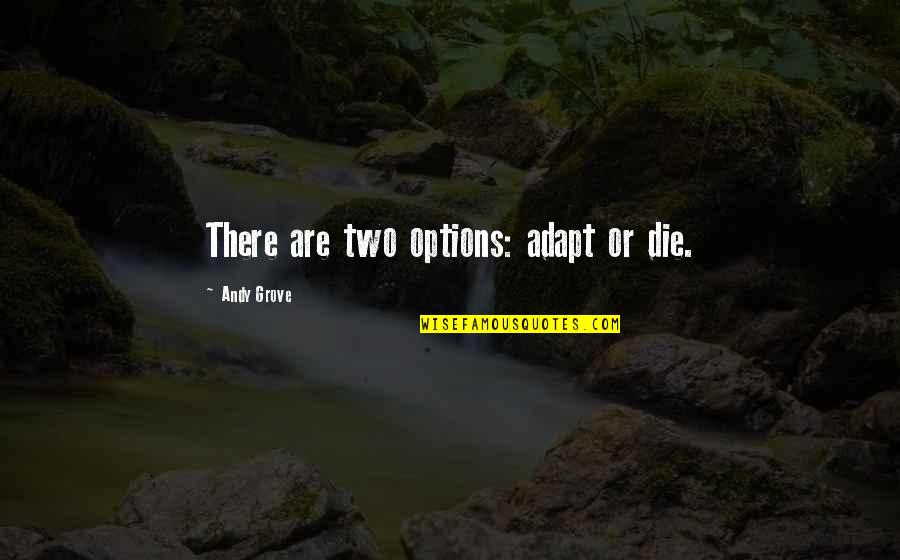 Kampung Baru Quotes By Andy Grove: There are two options: adapt or die. Kampung Baru Quotes By Andy Grove: There are two options: adapt or die.