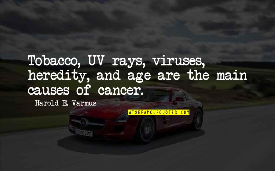 Kamyabi Quotes By Harold E. Varmus: Tobacco, UV rays, viruses, heredity, and age are