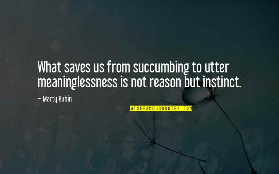 Kanaan Francis Quotes By Marty Rubin: What saves us from succumbing to utter meaninglessness