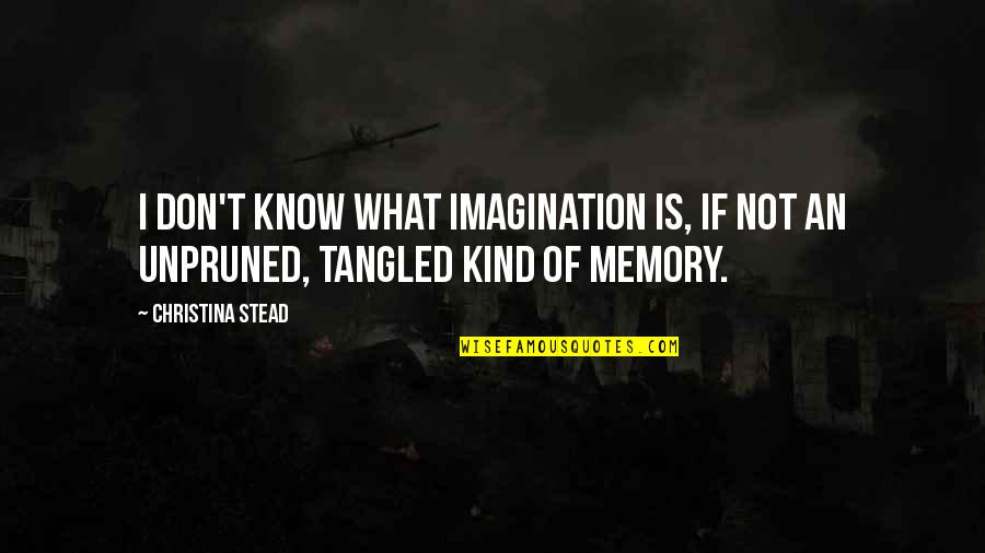 Kanakangi Quotes By Christina Stead: I don't know what imagination is, if not