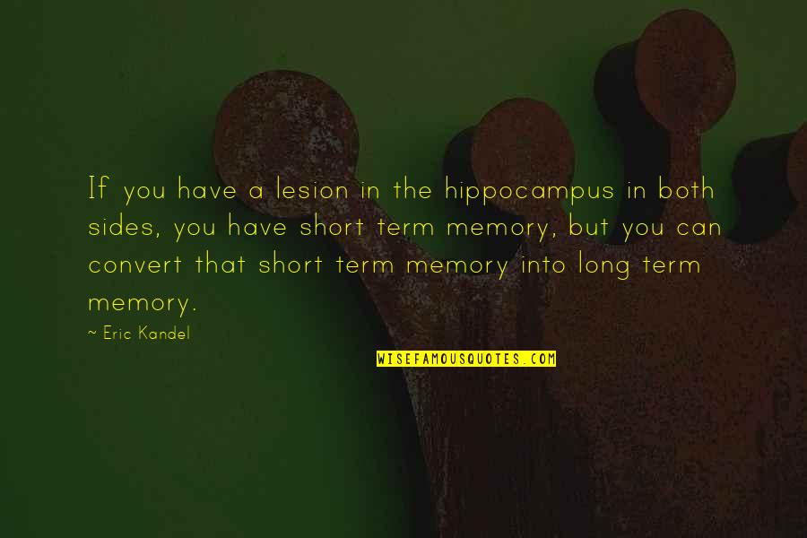 Kandel Quotes By Eric Kandel: If you have a lesion in the hippocampus Kandel Quotes By Eric Kandel: If you have a lesion in the hippocampus