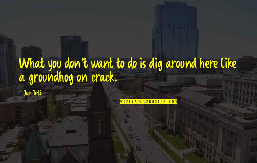 Kandis Mak Quotes By Joe Teti: What you don't want to do is dig