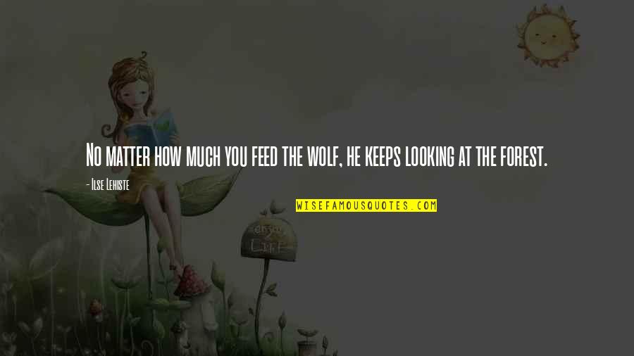 Kandungan Susu Quotes By Ilse Lehiste: No matter how much you feed the wolf,
