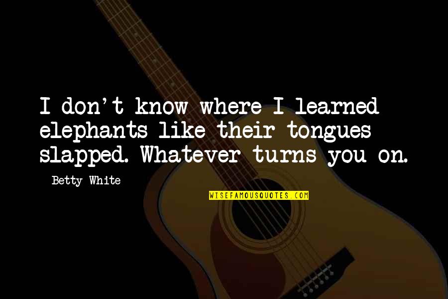 Kanegon Bullmark Quotes By Betty White: I don't know where I learned elephants like Kanegon Bullmark Quotes By Betty White: I don't know where I learned elephants like