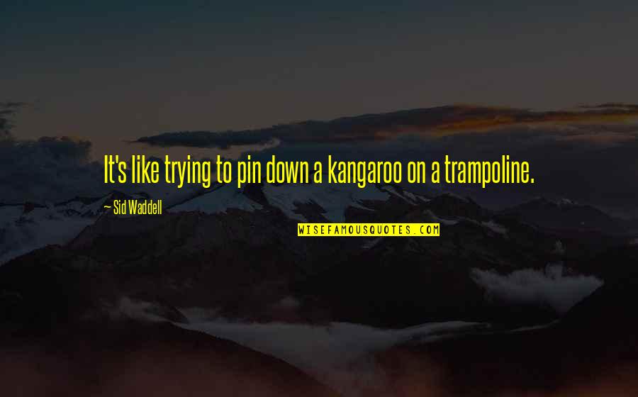 Kangaroo Quotes By Sid Waddell: It's like trying to pin down a kangaroo
