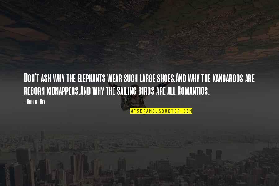 Kangaroos Quotes By Robert Bly: Don't ask why the elephants wear such large Kangaroos Quotes By Robert Bly: Don't ask why the elephants wear such large