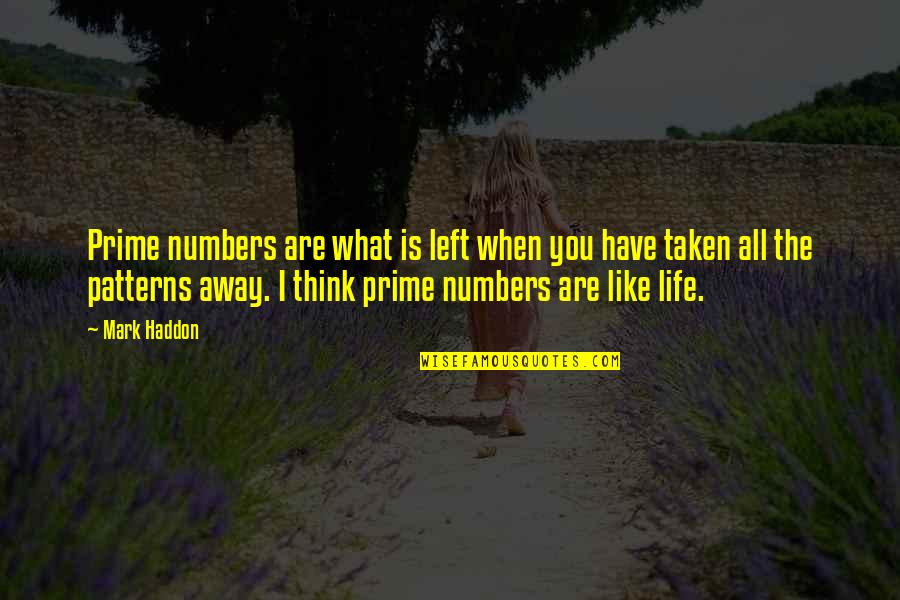 Kanner Pintaluga Quotes By Mark Haddon: Prime numbers are what is left when you