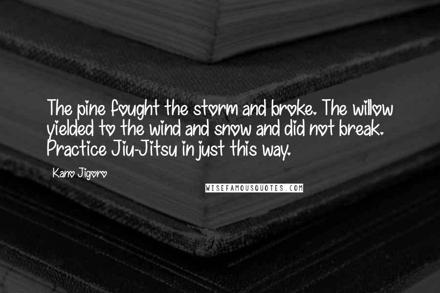Kano Jigoro quotes: The pine fought the storm and broke. The willow yielded to the wind and snow and did not break. Practice Jiu-Jitsu in just this way.