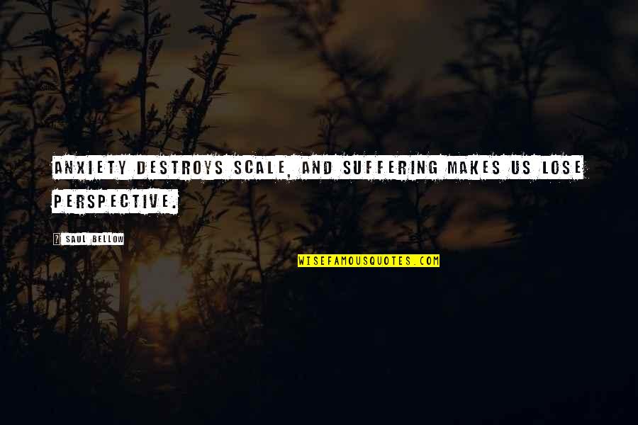 Kansas City To Saint Louis Quotes By Saul Bellow: Anxiety destroys scale, and suffering makes us lose