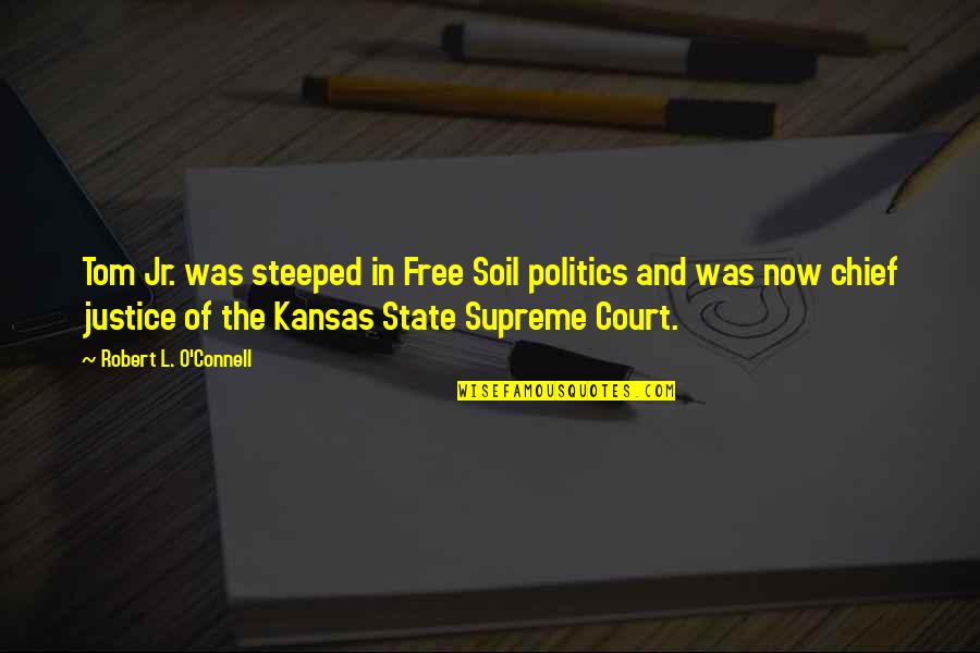 Kansas Quotes By Robert L. O'Connell: Tom Jr. was steeped in Free Soil politics