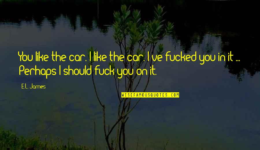 Kansas Republican Quotes By E.L. James: You like the car. I like the car.