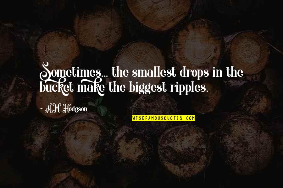Kanshi Ram Quotes By A.M. Hodgson: Sometimes... the smallest drops in the bucket make