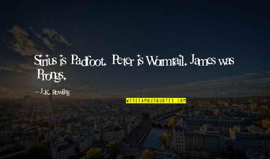 Kantar Worldpanel Quotes By J.K. Rowling: Sirius is Padfoot. Peter is Wormtail. James was Kantar Worldpanel Quotes By J.K. Rowling: Sirius is Padfoot. Peter is Wormtail. James was