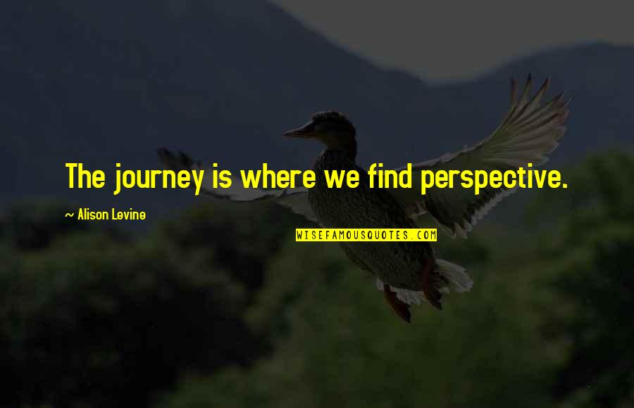 Kantseleitarbed Quotes By Alison Levine: The journey is where we find perspective.