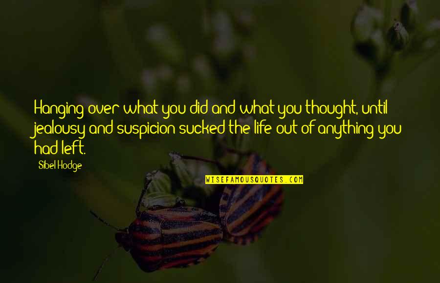 Kapljevita Quotes By Sibel Hodge: Hanging over what you did and what you Kapljevita Quotes By Sibel Hodge: Hanging over what you did and what you