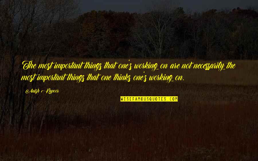 Kapoor's Quotes By Anish Kapoor: The most important things that one's working on Kapoor's Quotes By Anish Kapoor: The most important things that one's working on