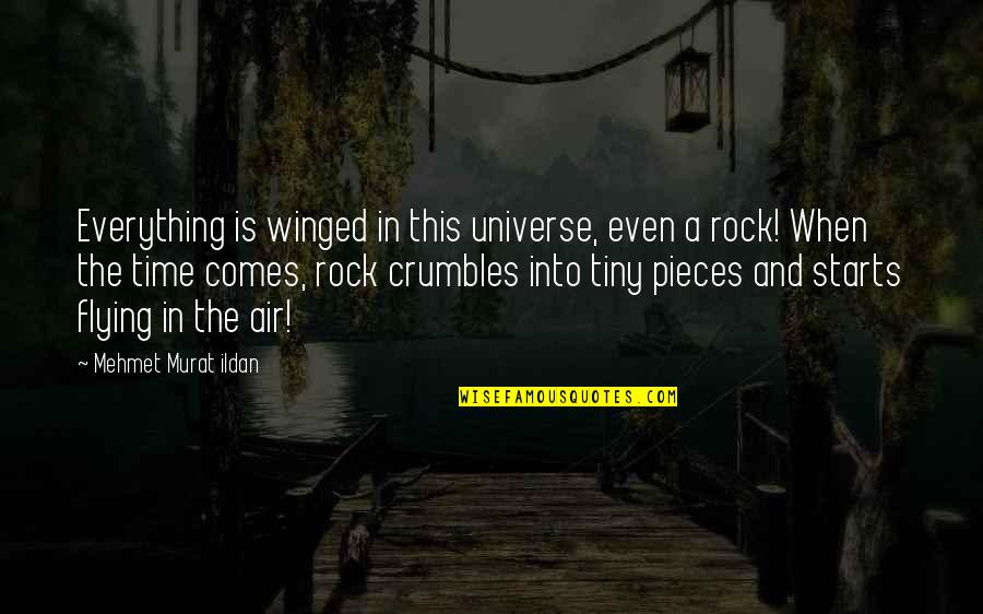 Kapow Quotes By Mehmet Murat Ildan: Everything is winged in this universe, even a