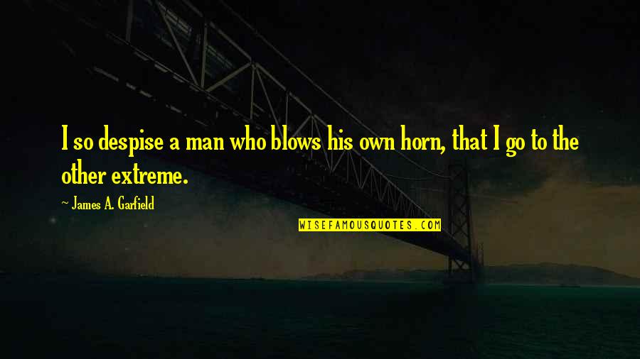 Kappler Inc Quotes By James A. Garfield: I so despise a man who blows his