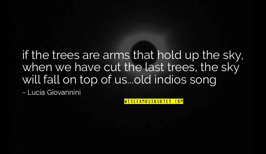 Kapustin Concert Quotes By Lucia Giovannini: if the trees are arms that hold up