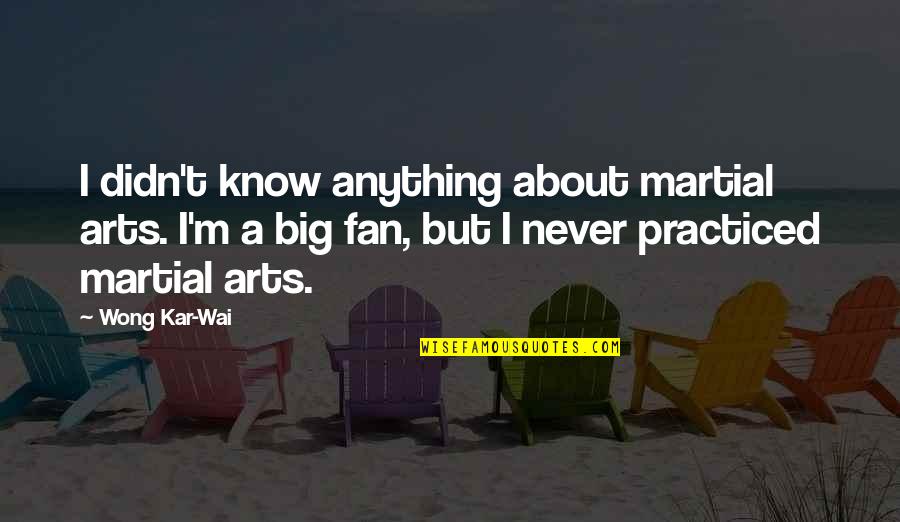 Kar Wai Quotes By Wong Kar-Wai: I didn't know anything about martial arts. I'm