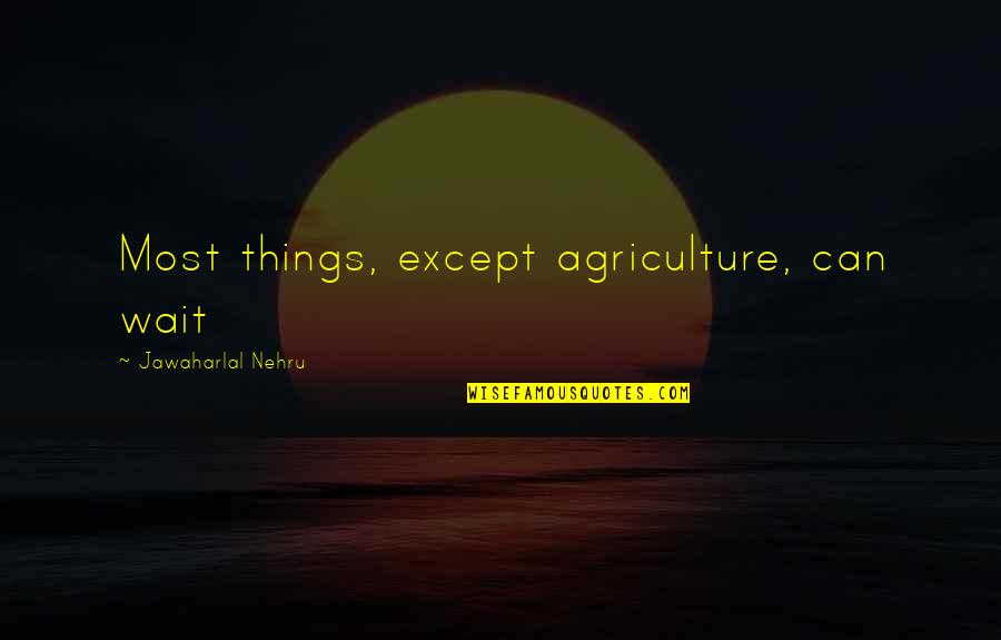 Kara Kent Quotes By Jawaharlal Nehru: Most things, except agriculture, can wait