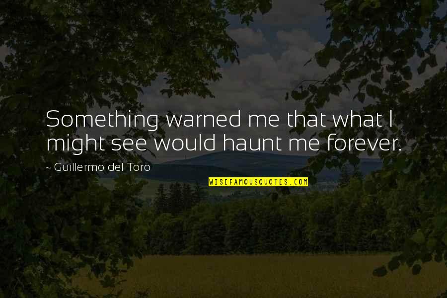 Karabashi Quotes By Guillermo Del Toro: Something warned me that what I might see Karabashi Quotes By Guillermo Del Toro: Something warned me that what I might see