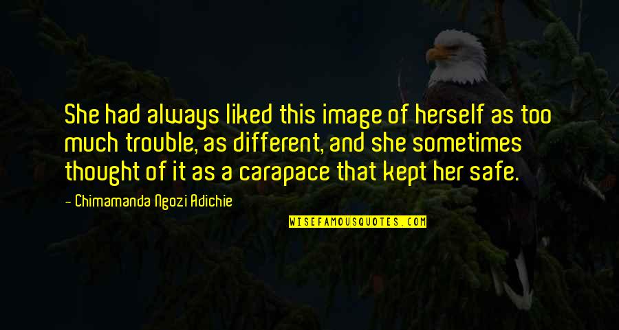 Karaboo Quotes By Chimamanda Ngozi Adichie: She had always liked this image of herself Karaboo Quotes By Chimamanda Ngozi Adichie: She had always liked this image of herself