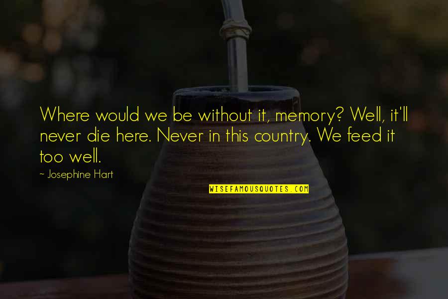 Karadeniz Quotes By Josephine Hart: Where would we be without it, memory? Well,