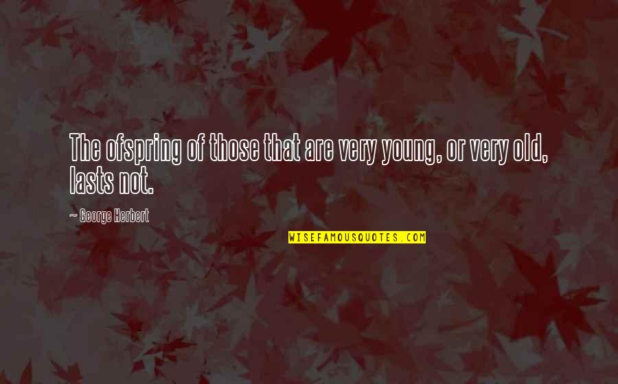 Karahadian Kary Quotes By George Herbert: The ofspring of those that are very young,