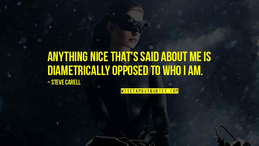 Karahalios Dean Quotes By Steve Carell: Anything nice that's said about me is diametrically