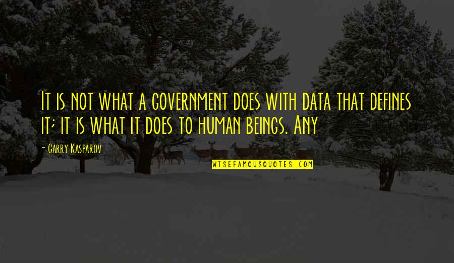 Karakashian Timothy Quotes By Garry Kasparov: It is not what a government does with