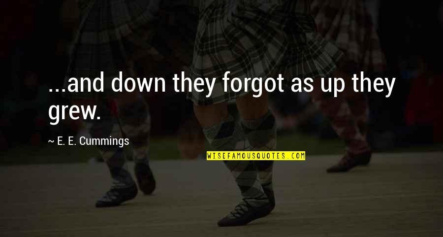 Karakter Bordewijk Quotes By E. E. Cummings: ...and down they forgot as up they grew. Karakter Bordewijk Quotes By E. E. Cummings: ...and down they forgot as up they grew.